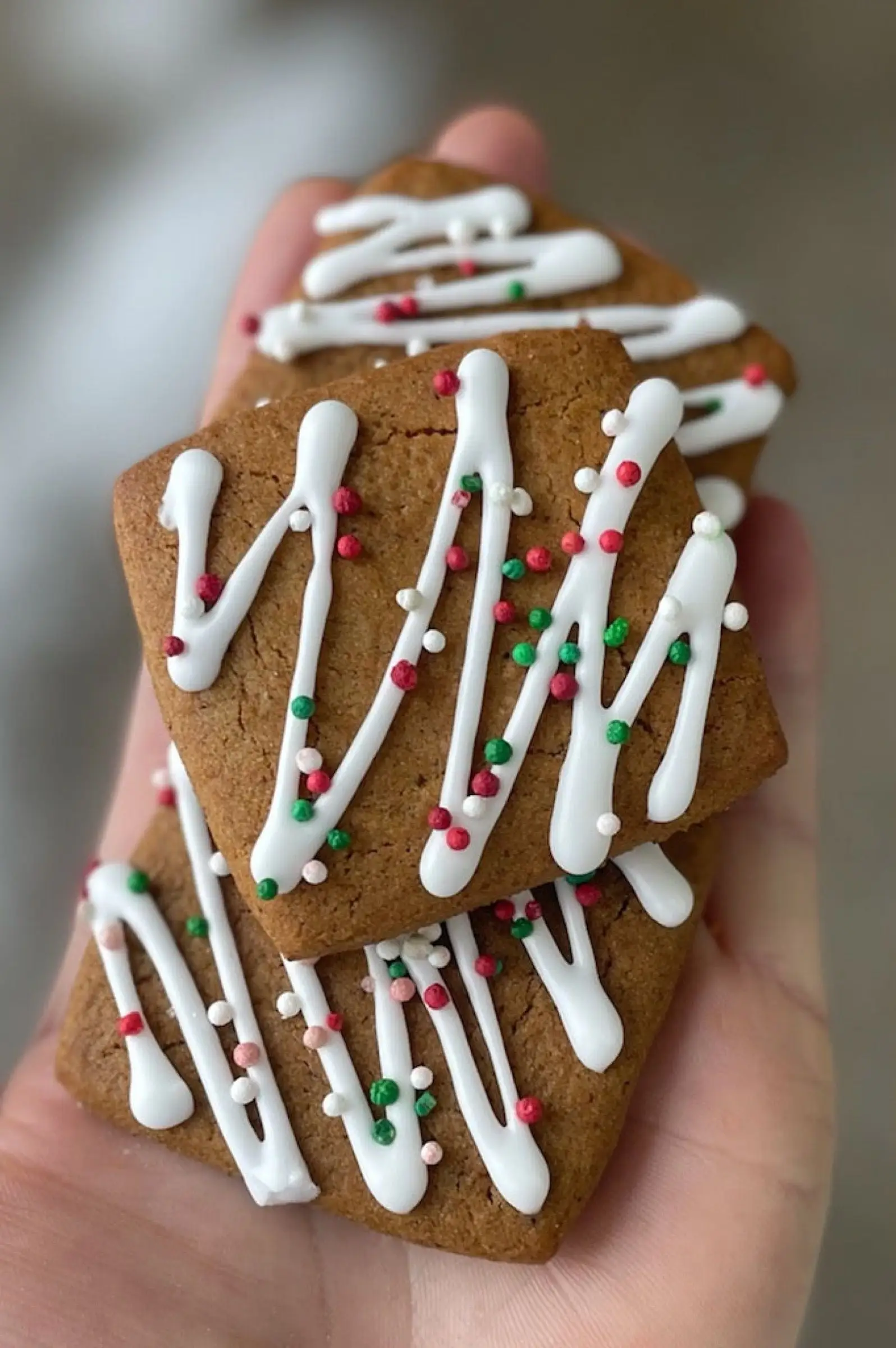 Heritage Gingerbread Cookies